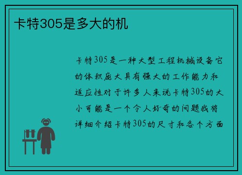 卡特305是多大的机
