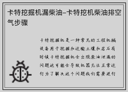 卡特挖掘机漏柴油-卡特挖机柴油排空气步骤